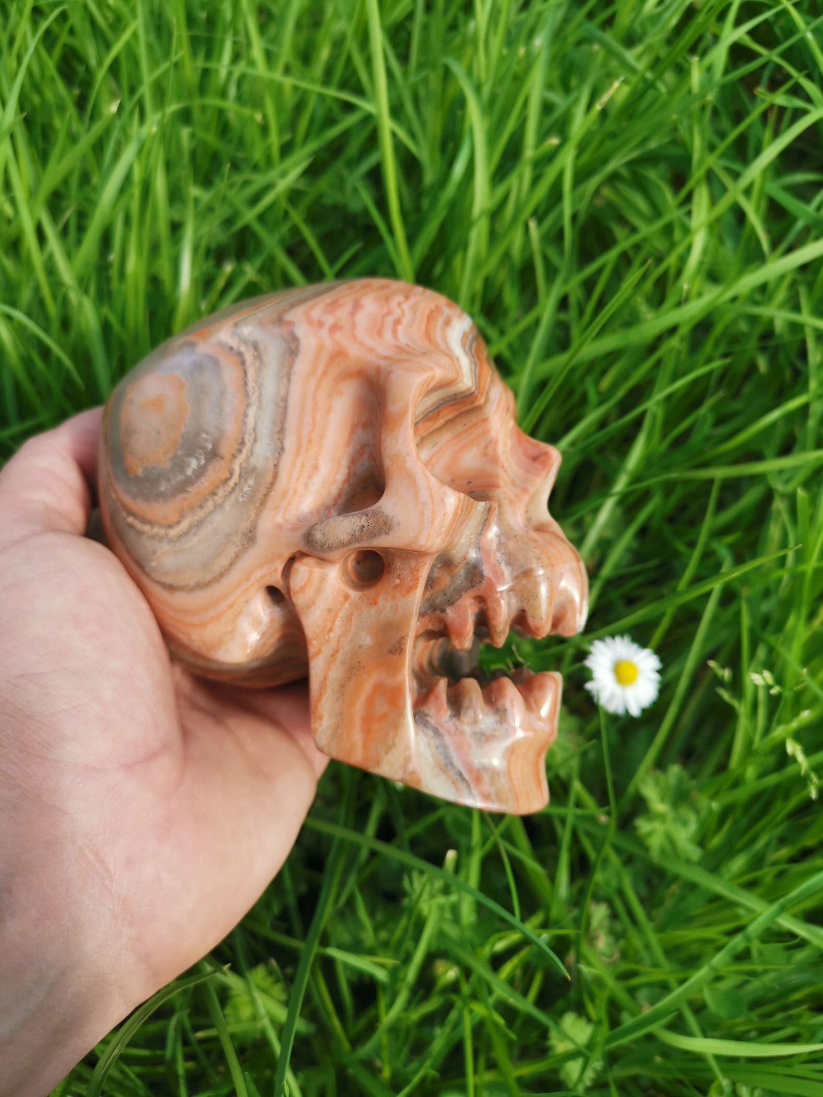 Red Veined Wood-Type Calcite / Skull in Fury / collectible natural stone, Skull collector Crystal Skull
