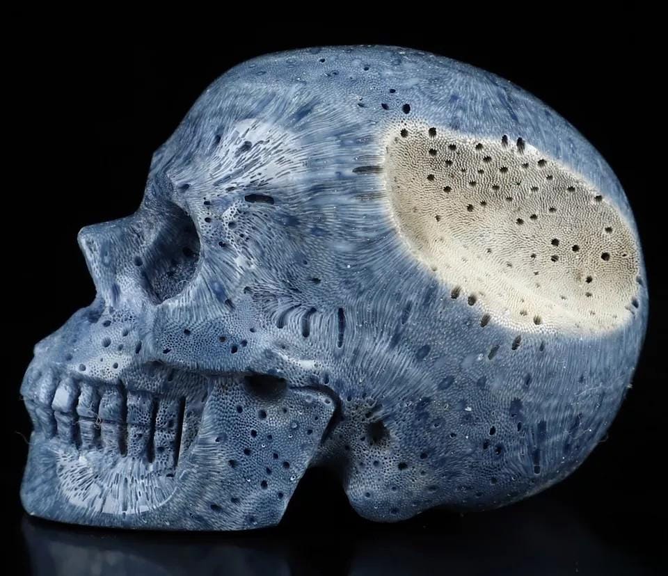 Spugna blu da 2", scultura di un teschio, fossile rarissimo / Meditazione / Cranio
