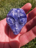SODALITE Teschio alieno, minerale scolpito da collezione / REIKI Teschio, Cranio, SchÄdel, Cranio Teschio di cristallo