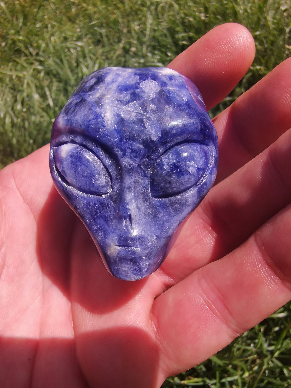 SODALITE Crâne Alien , minéraux sculpté  de collection / REIKI  Skull , Cranio , SchÄdel , Craneo Crystal Skull