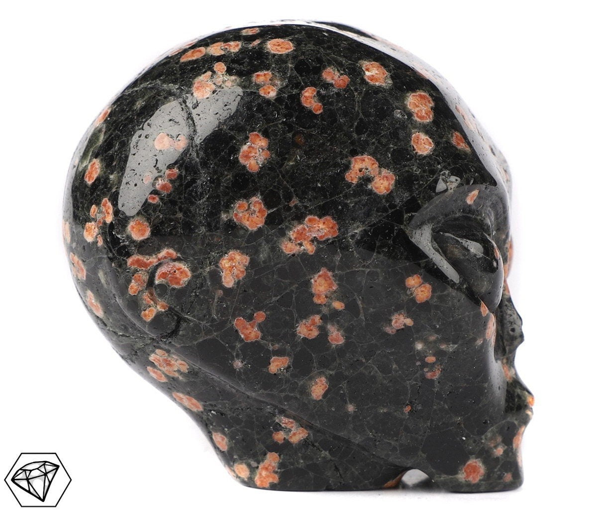 Obsidienne Flocon Marron  /Crâne pierre naturelle de collection / décoration  Skull , Cranio , SchÄdel , Craneo Crystal Skull