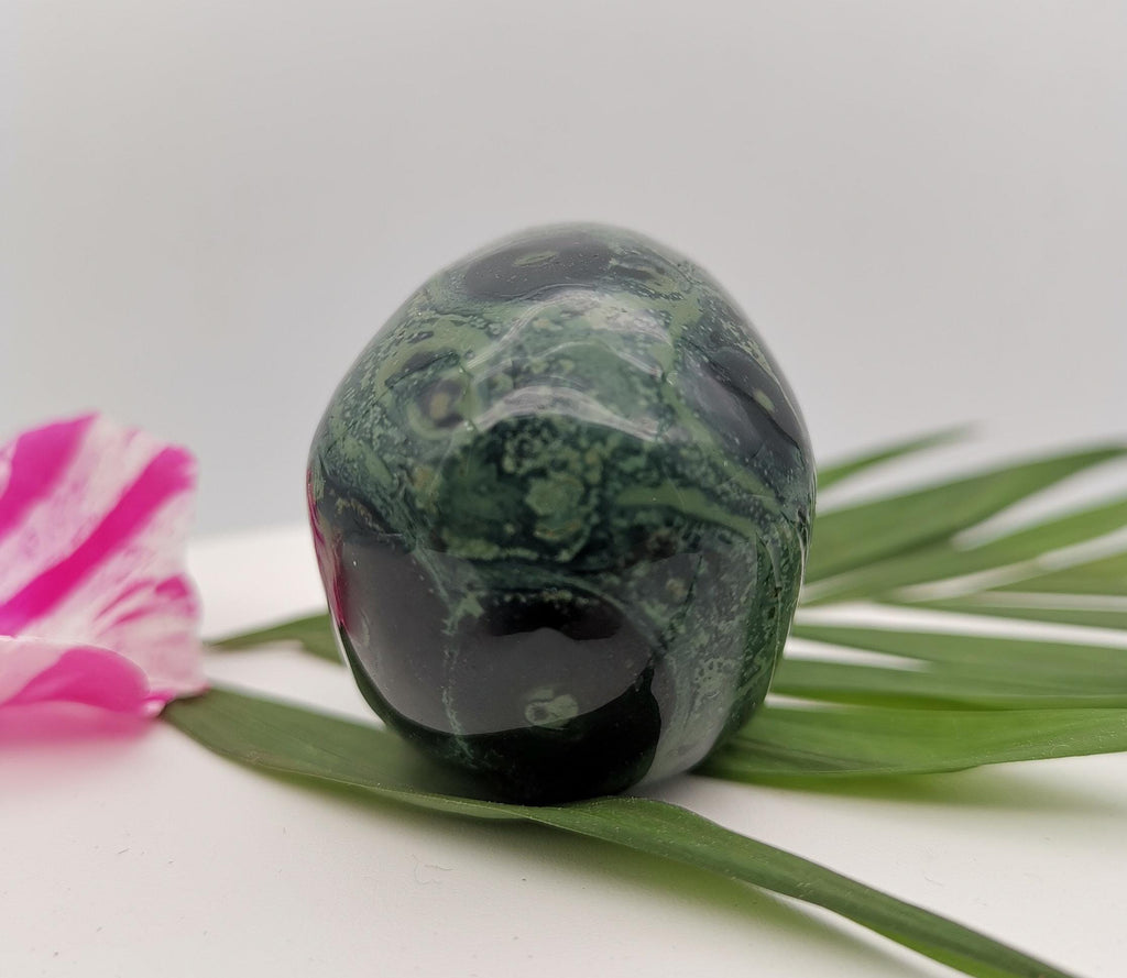 2" Crocodile Skin Jasper / Kambaba Jasper / Collector's Skull, Top quality carved natural stone ideal decoration