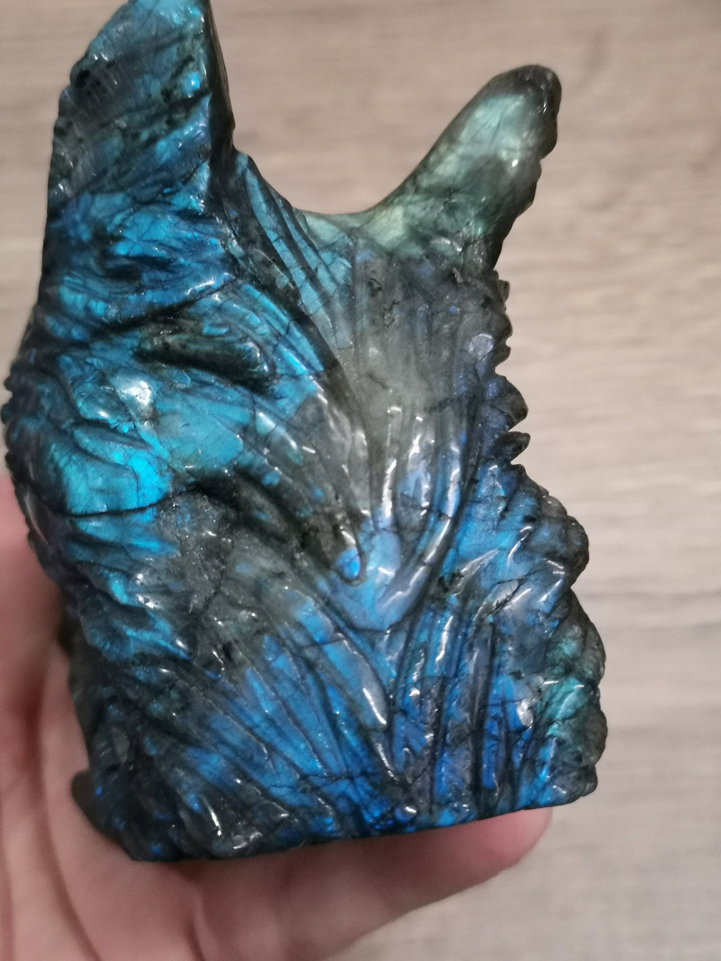 Tête de Loup féroce , Sculpture en Labradorite / Madagascar