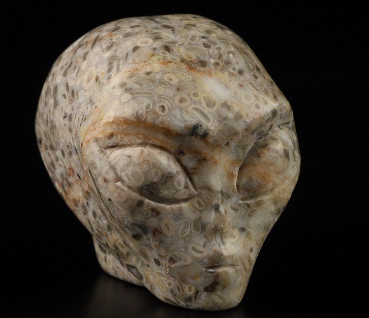 Teschio alieno in pietra con fossili di crinoidi · Pezzo unico · 50 mm