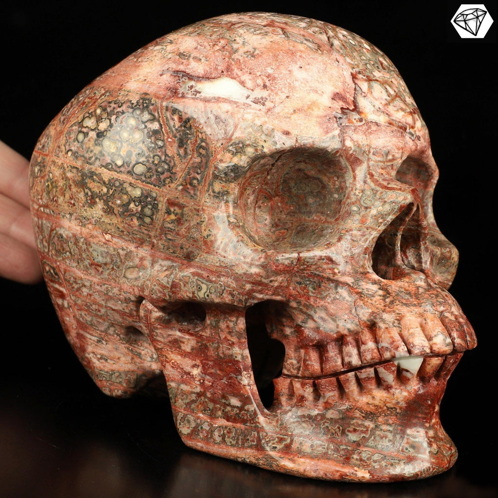 Jaspe Leopardo de México  /  Cráneo XXL  Piedra natural  / calavera / Memento mori