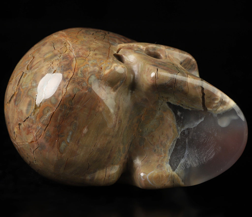 Agrat kallad Dinosaurägg, skulptur av dödskalle i natursten, kuriositetskabinett, memento mori, förgänglighet