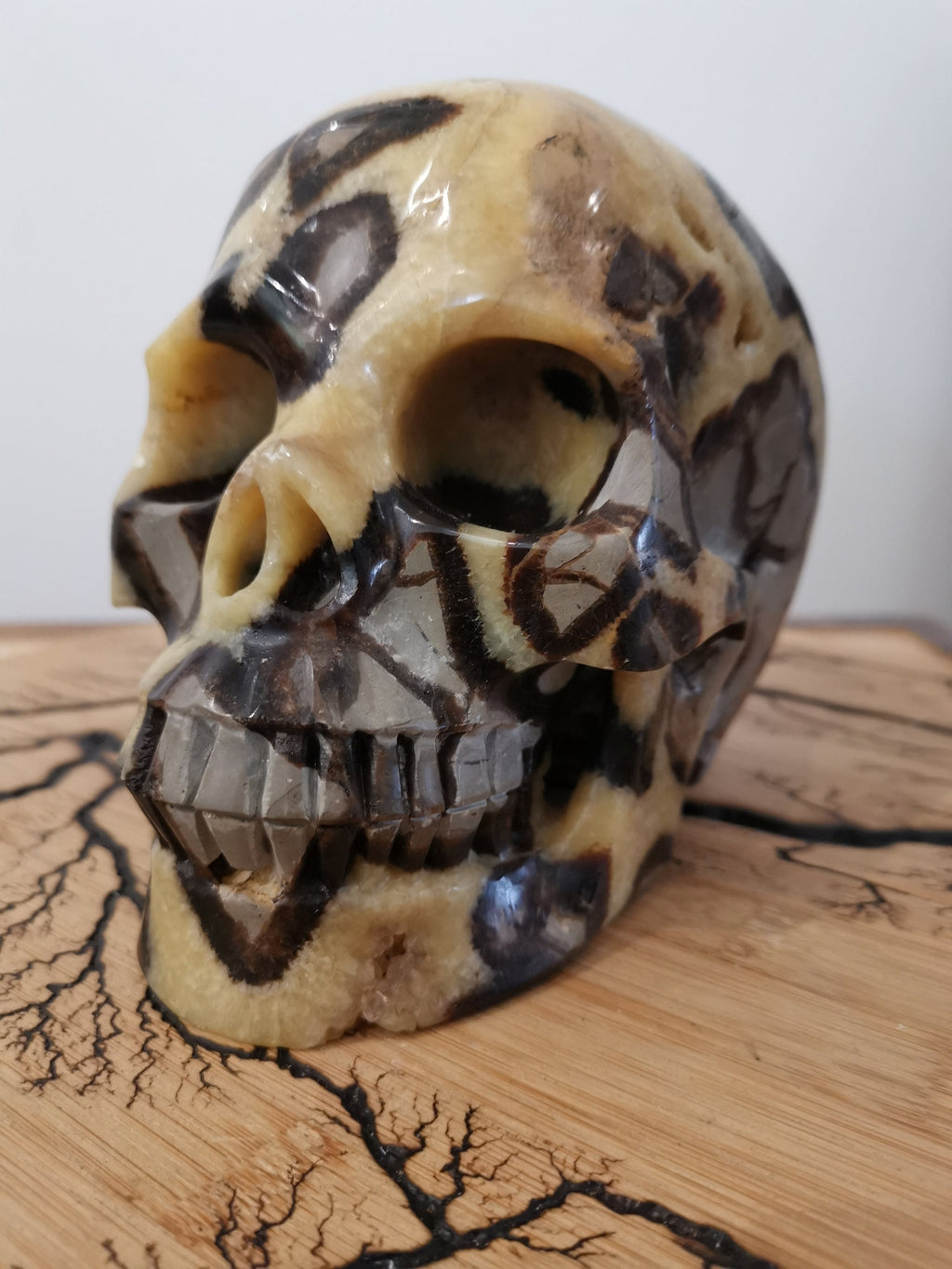 Septaria , Piedra del dragón , Gran Cráneo XL 3.8 KG , Piedra natural  / cabeza de muerto , vanidad / Memento mori