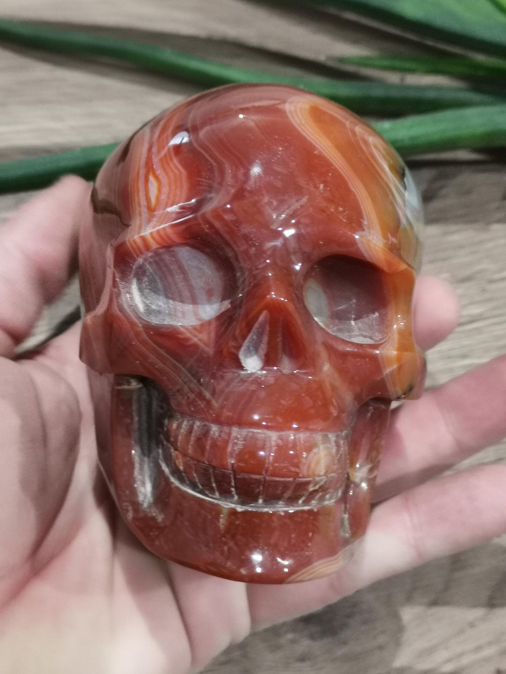 Carnelian Agate, Crystal Skull / 4 Inch Size , high quality / Lithotherapy / Cranio , SchÄdel , Cranio , Skull , reikin