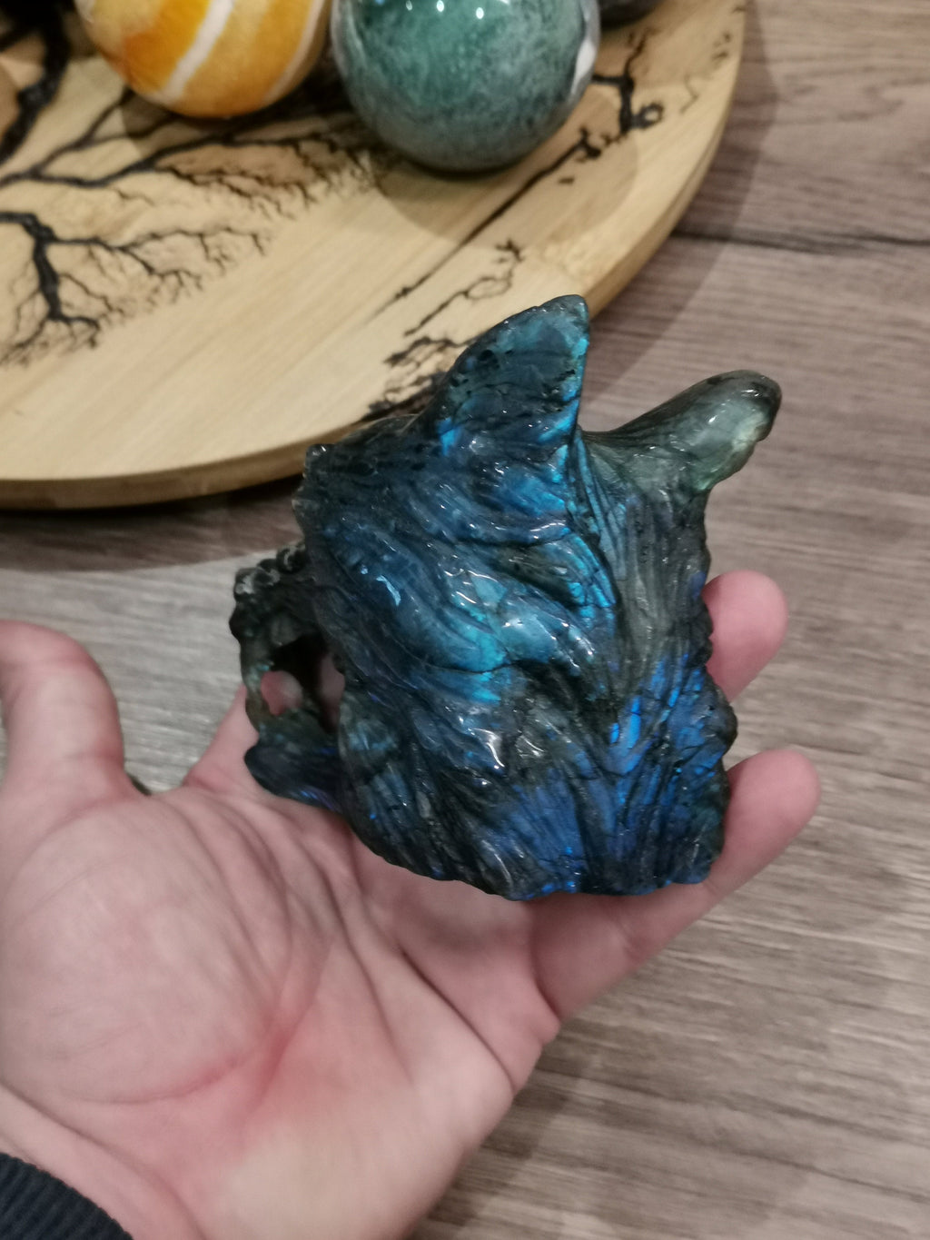 Tête de Loup féroce , Sculpture en Labradorite / Madagascar