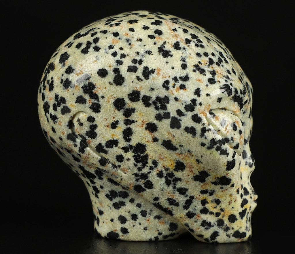 2" Jaspe Dalmatien ->  extra terrestre   Roswell /Crâne pierre naturelle de collection / décoration  Skull , Cranio , SchÄdel , Craneo