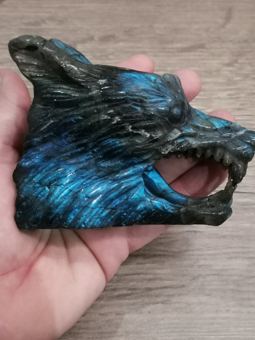 Tête de Loup féroce , Sculpture en Labradorite / Madagascar