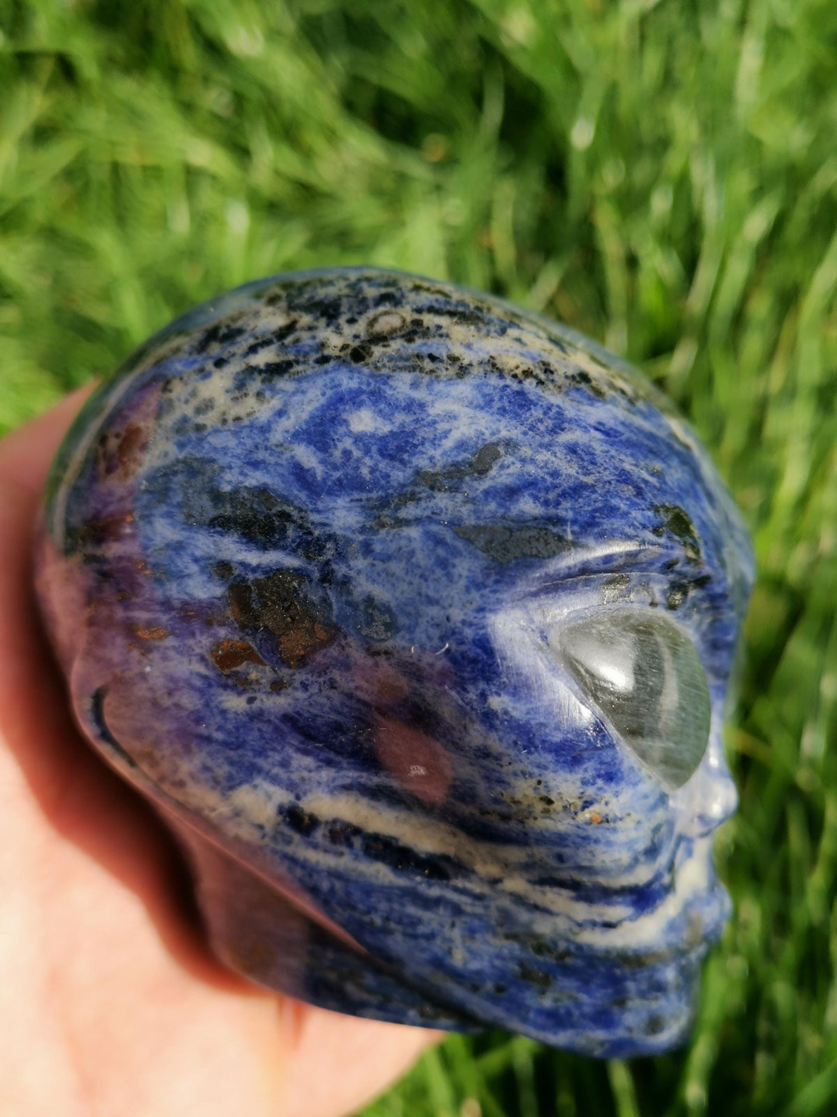 Sodalite ->  Scultura Testa extraterrestre , Tipo Roswell  / collezione / Litoterapia / Decorazione
