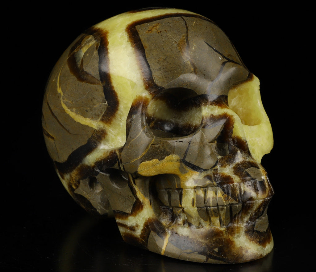 SEPTARIA Drakensteen , XL schedel van natuursteen , handgesneden Topkwaliteit , Cranio , SchÄdel , SKULL Kristallen schedel