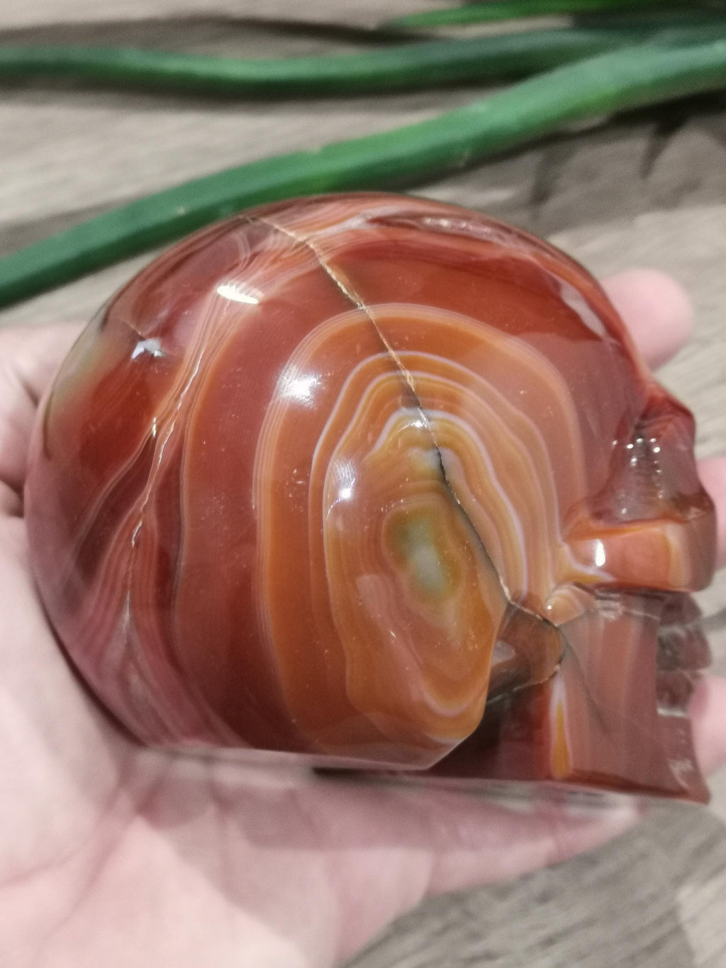 Carnelian Agate, Crystal Skull / 4 Inch Size , high quality / Lithotherapy / Cranio , SchÄdel , Cranio , Skull , reikin