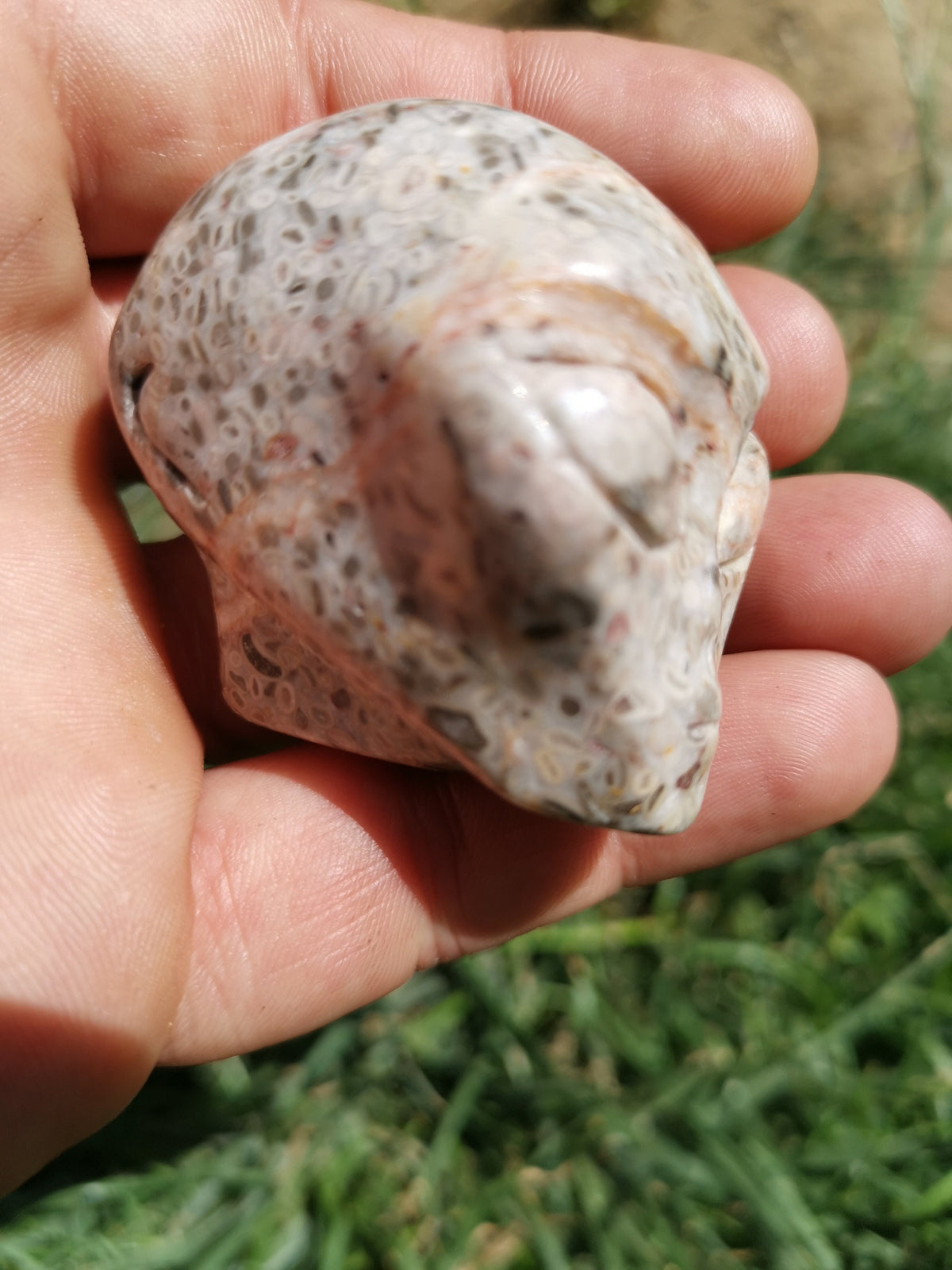 Crâne alien en pierre à fossiles de crinoïdes · Pièce unique · 50 mm