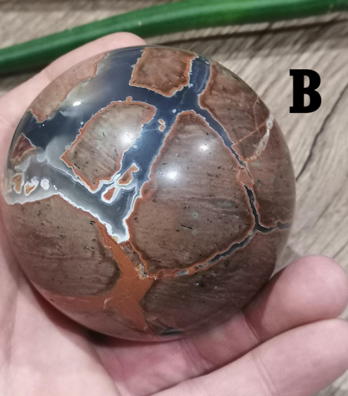 Ágata Huevo de Dinosaurio , Esfera a elegir , ideal Colección de piedra atípica