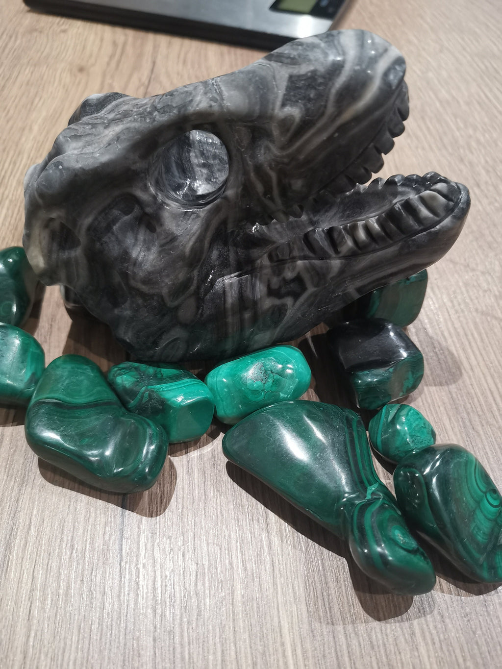 Tyrannosaurus schedel van grijze jaspis, sculptuur standbeeld 958 gram Crystal Skull