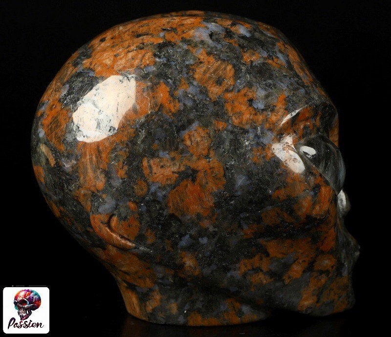 Bruin graniet, buitenaards hoofd -- > ALIEN Kristallen schedelcollectie / Lithotherapie / Meditatie / Crystal Skull Companion Star