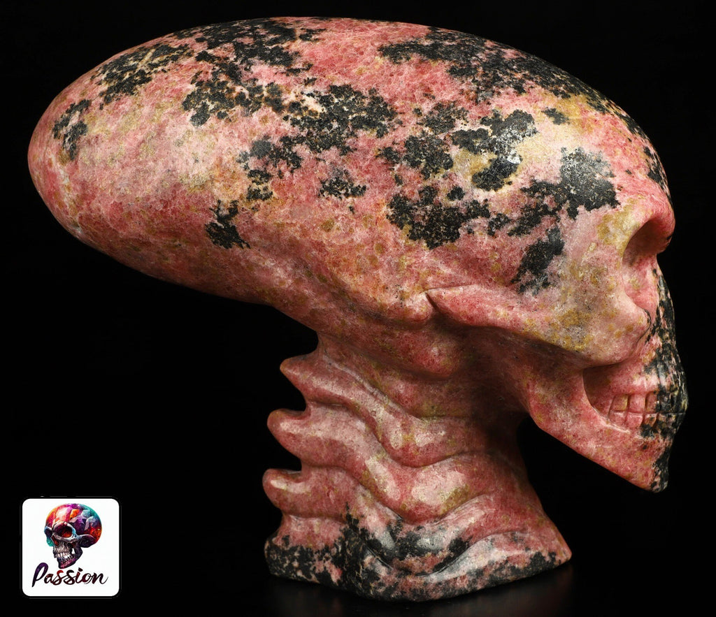 Rodoniet  6,5 inch ,  Sculptuur AALIEDEN Kristallen Schedel  / Maya Reizende Schedel / lithotherapie / Schedel ; Cranio , Kristalloden Schedel