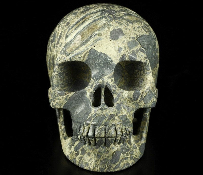 Crâne pierre Jaspe Bréchique D'Australie  , sculpture Vanité , Cabinet de curiosité