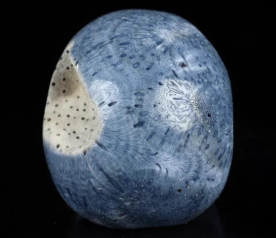 2" Blue Sponge , Skull Sculpture , very rare fossil/ Meditation / Cranio