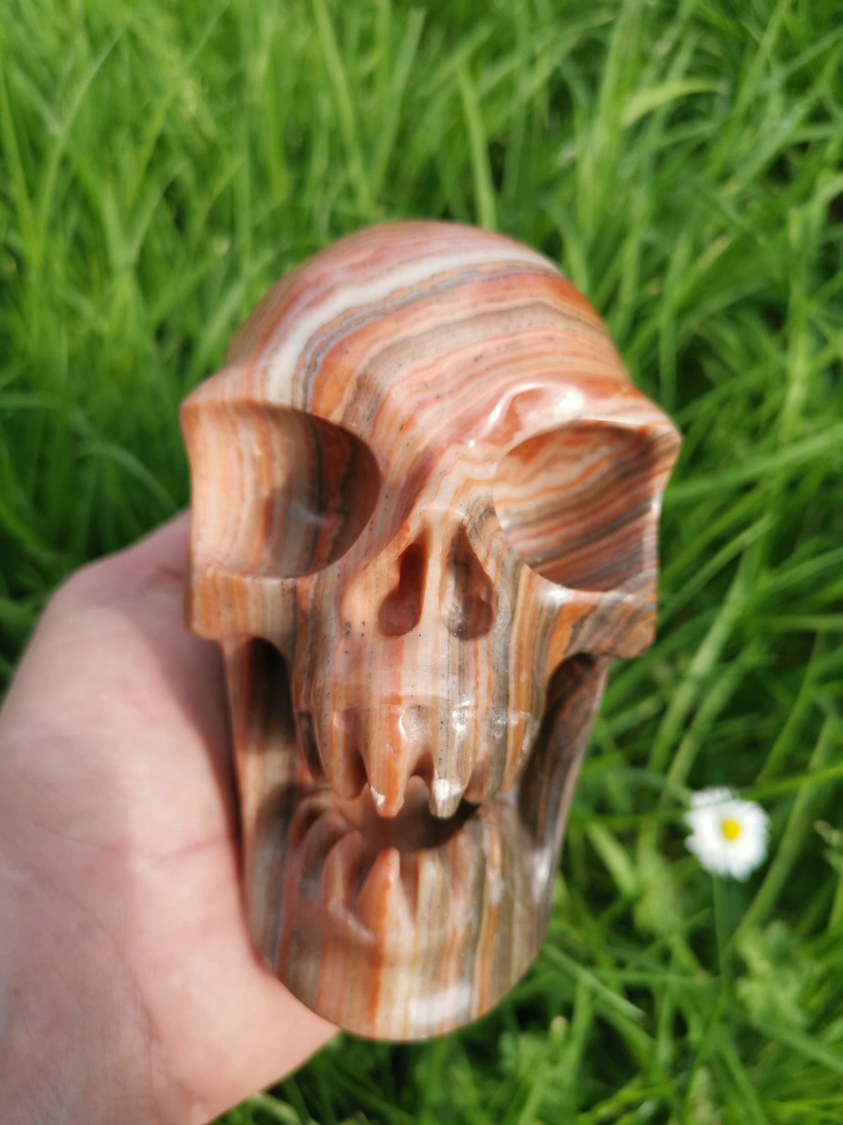Red Veined Wood-Type Calcite / Skull in Fury / collectible natural stone, Skull collector Crystal Skull