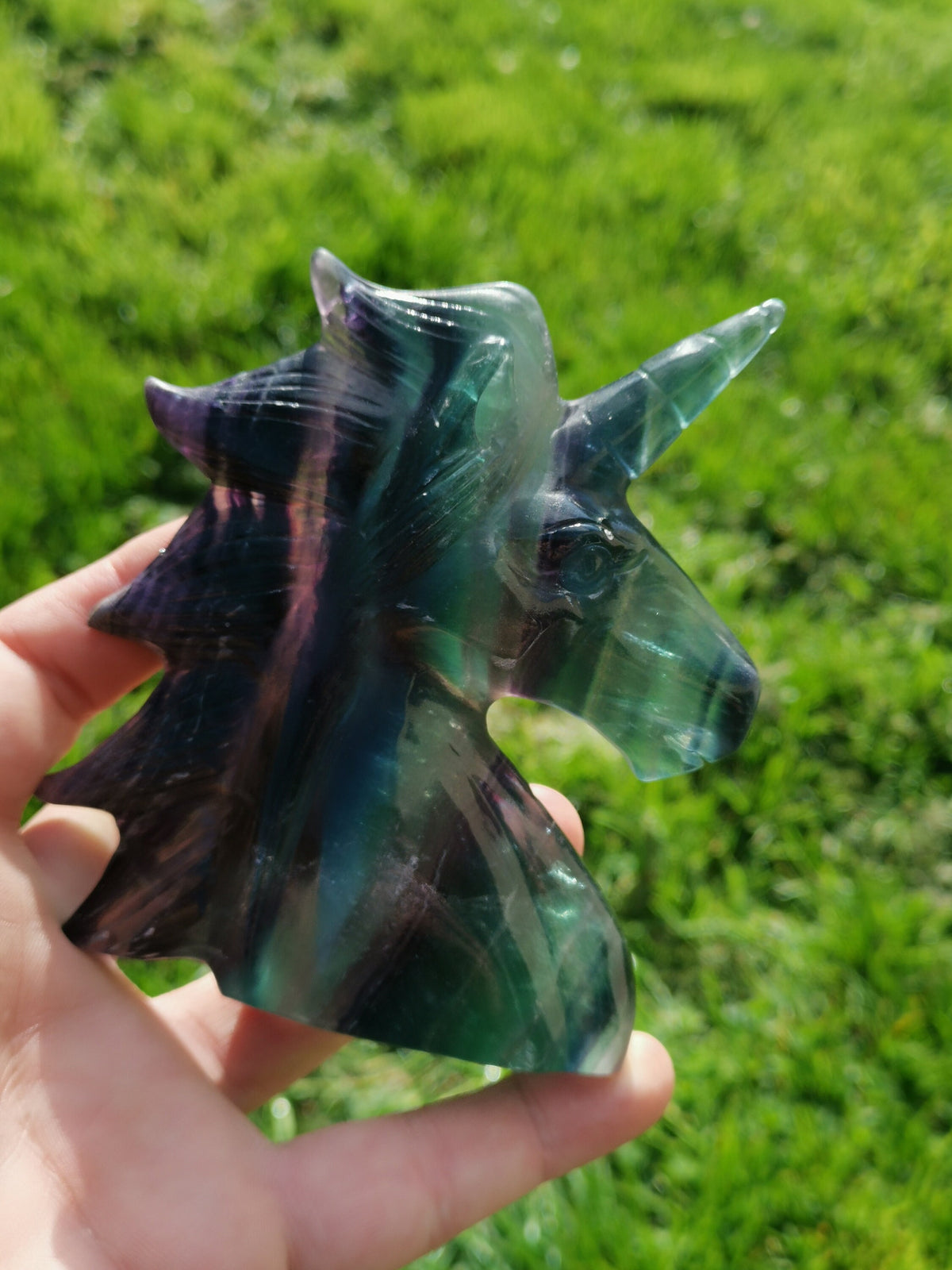 Licorne , Fluorite arc en ciel , jolie tête de 375 grammes