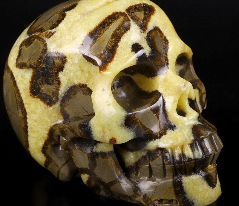 Septaria , Pierre du dragon , Grand Crâne XL 3.8 KG , Pierre naturelle  / tète de mort , vanité / Mémento mori