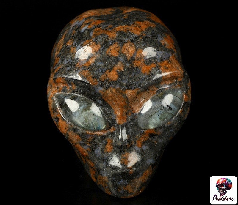 Bruin graniet, buitenaards hoofd -- > ALIEN Kristallen schedelcollectie / Lithotherapie / Meditatie / Crystal Skull Companion Star