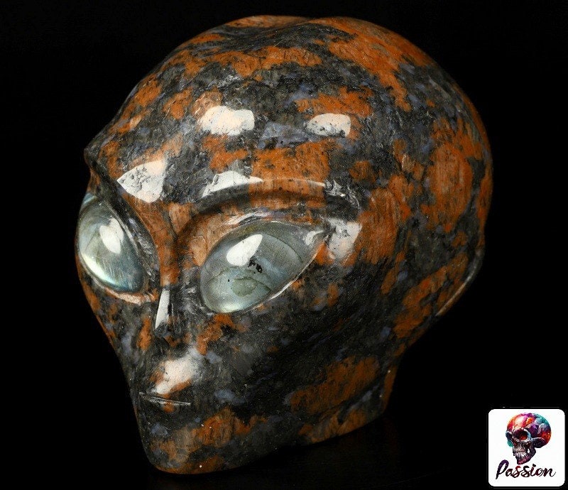 Granito marrone, testa extraterrestre -- > ALIEN Cranio di cristallo Collezione / Litoterapia / Meditazione / Crystal Skull Companion Star