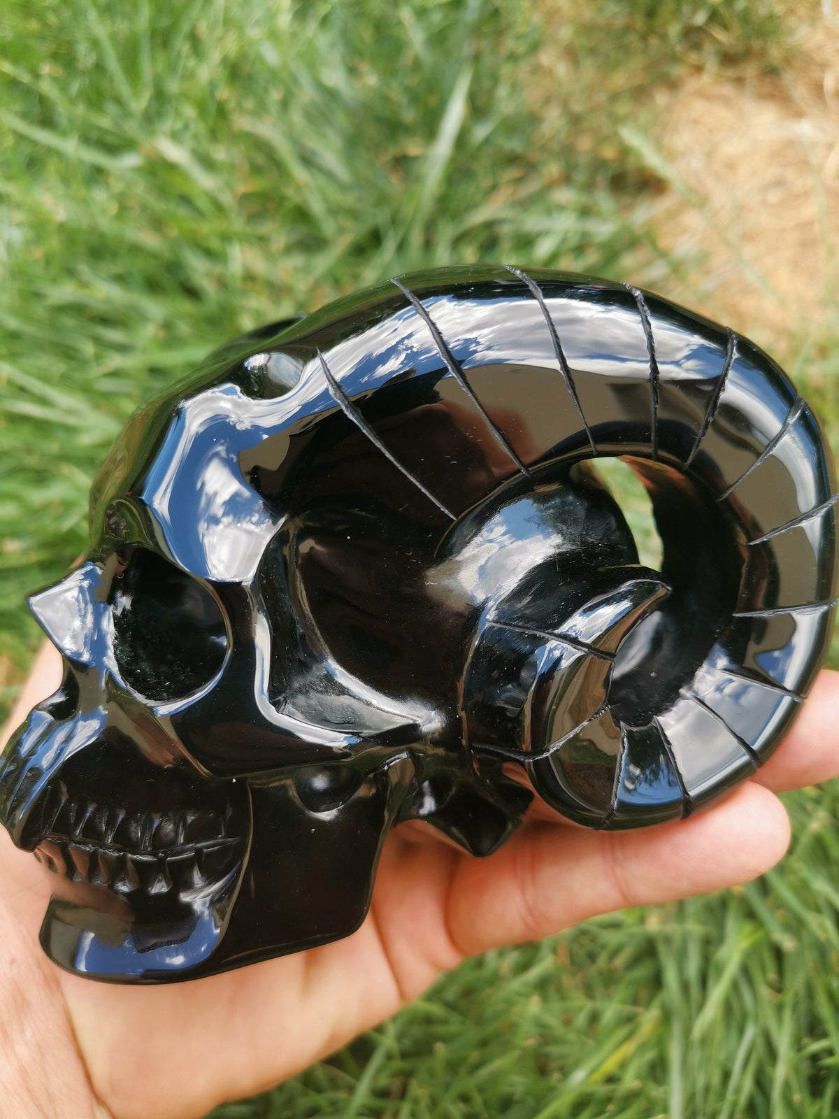 Obsidienne NOIR , Crâne avec corne de Bouc en pierre naturelle de collection / Magie noire