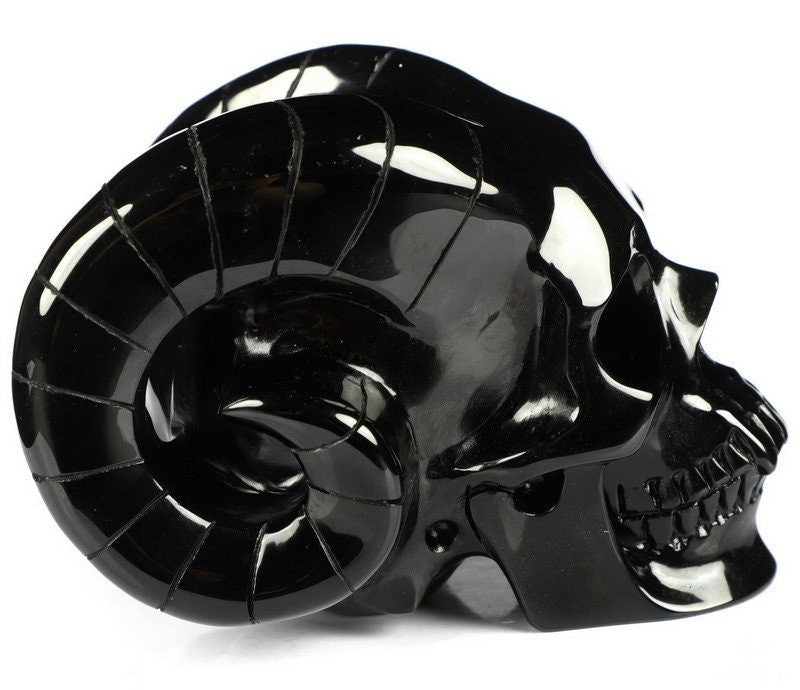 Ossidiana NERA , Teschio in pietra naturale da collezione , Skull collector Crystal Skull