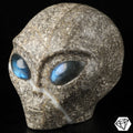 Roswell alien skull in crinoid fossil stone and labradorite · XL
