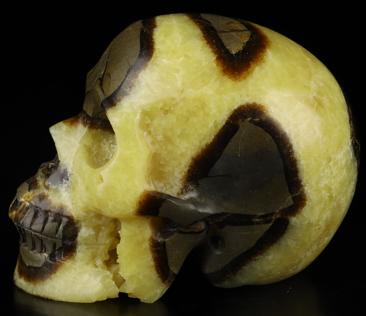 SEPTARIA Drakensteen , XL schedel van natuursteen , handgesneden Topkwaliteit , Cranio , SchÄdel , SKULL Kristallen schedel