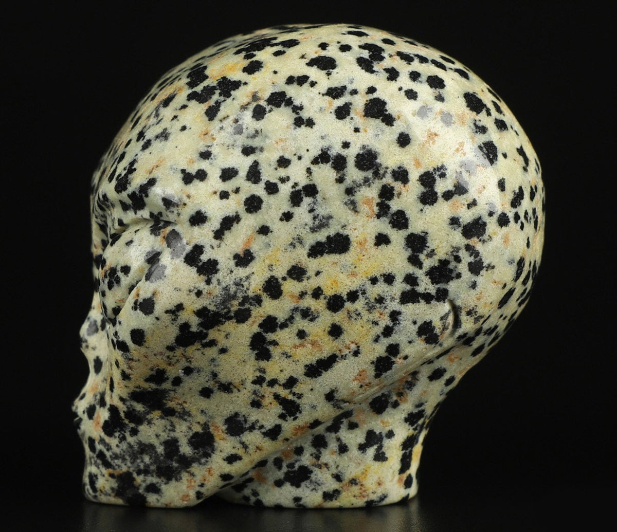 2" Jaspe Dalmatien ->  extra terrestre   Roswell /Crâne pierre naturelle de collection / décoration  Skull , Cranio , SchÄdel , Craneo