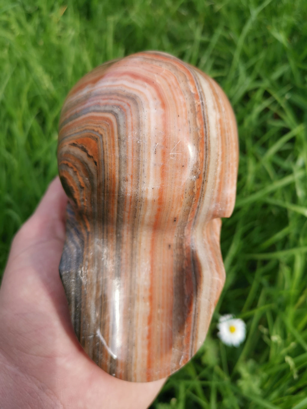 Red Veined Wood-Type Calcite / Skull in Fury / collectible natural stone, Skull collector Crystal Skull