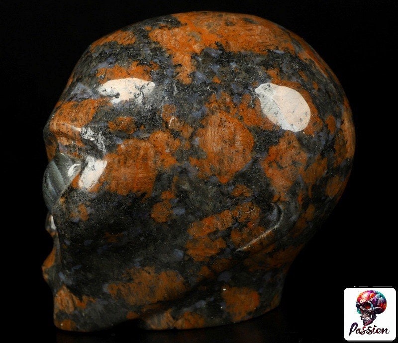 Bruin graniet, buitenaards hoofd -- > ALIEN Kristallen schedelcollectie / Lithotherapie / Meditatie / Crystal Skull Companion Star