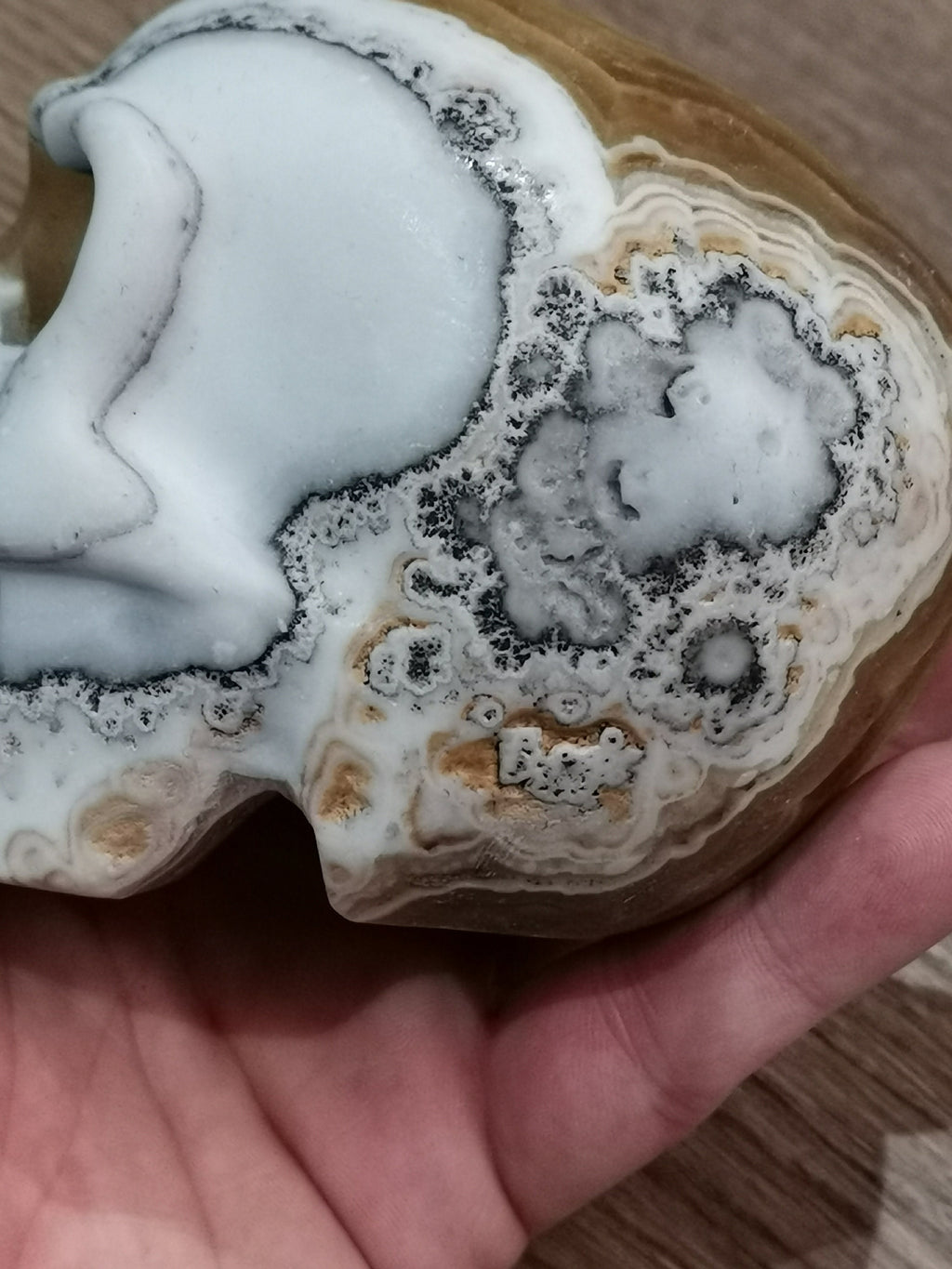 Calcite amarela mel com banda, ágata dendrítica, crânio de coleção / Pedra natural