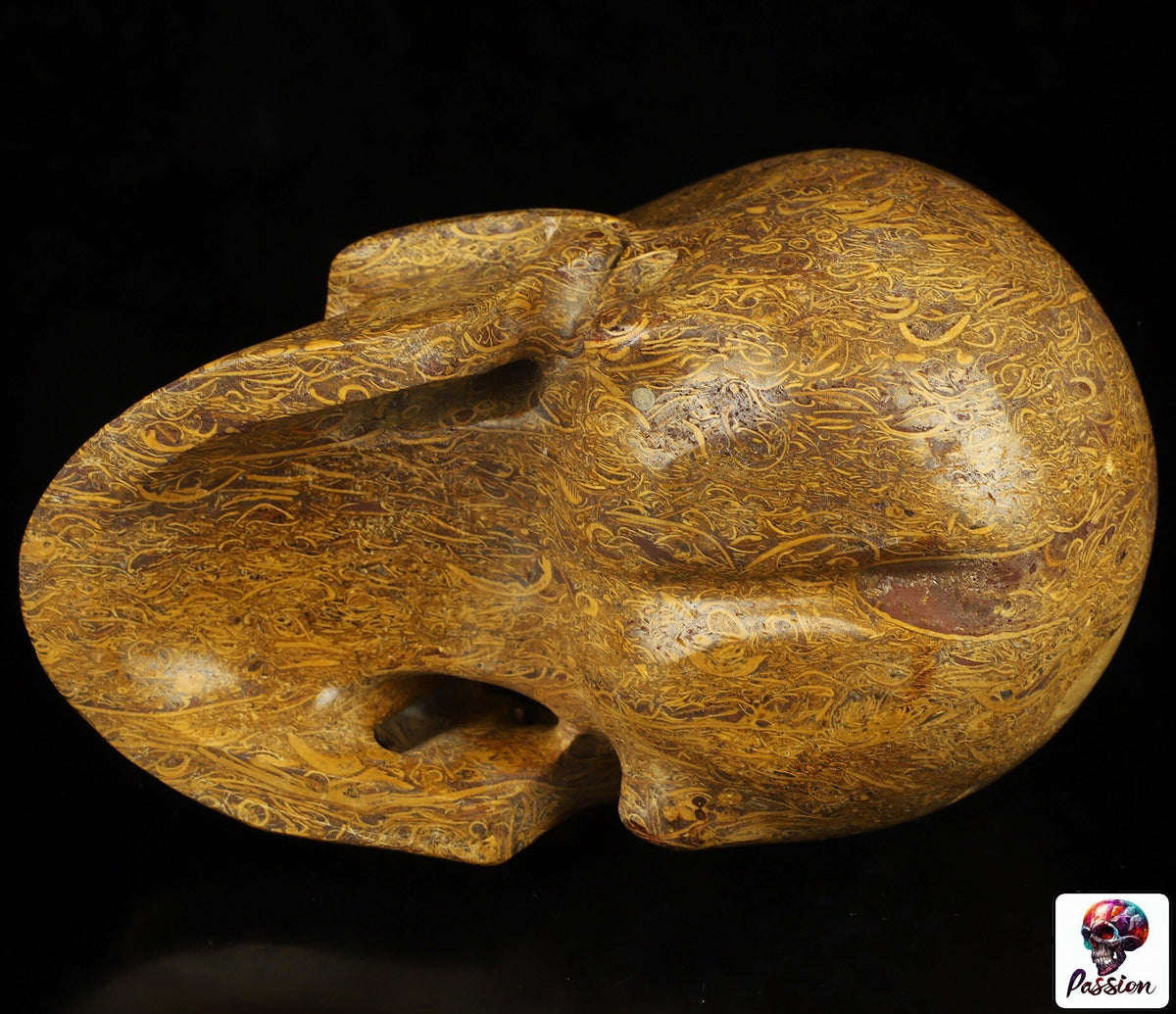 Jaspe elefante, Escultura de Crânio Grande de 2,5 KG, Pedra natural / Vaidade / Memento mori