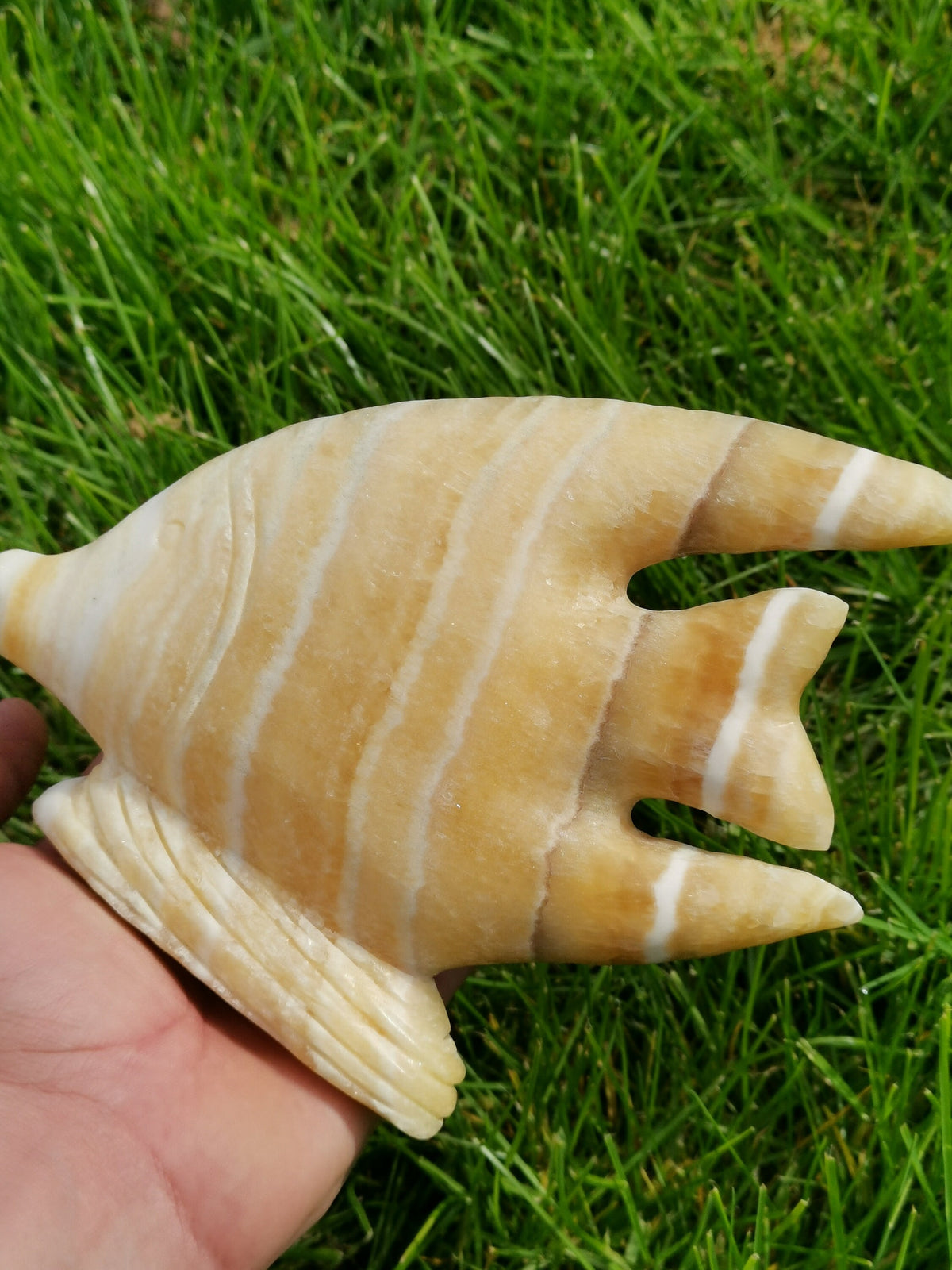 Sculpture Poisson En pierre naturelle calcite Jaune a bande ( Scalaire ? )