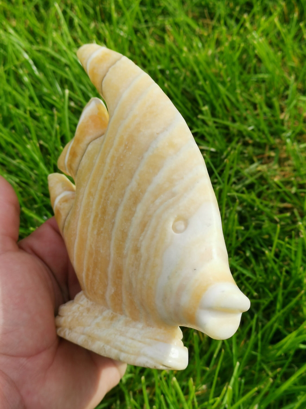 Sculpture Poisson En pierre naturelle calcite Jaune a bande ( Scalaire ? )