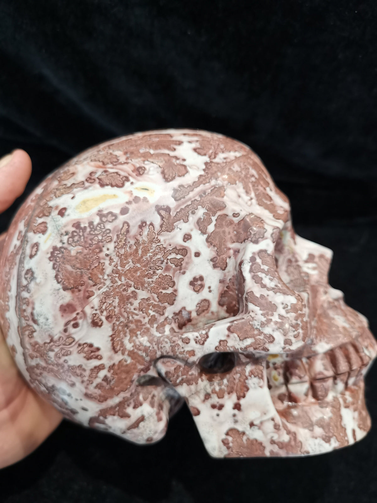 Jaspis krajobrazowy, rzeźba czaszki XL z naturalnego kamienia kolekcjonerskiego / Gabinet osobliwości / Memento mori