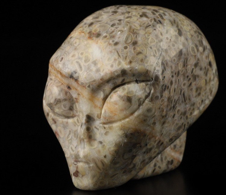 Teschio alieno in pietra con fossili di crinoidi · Pezzo unico · 50 mm
