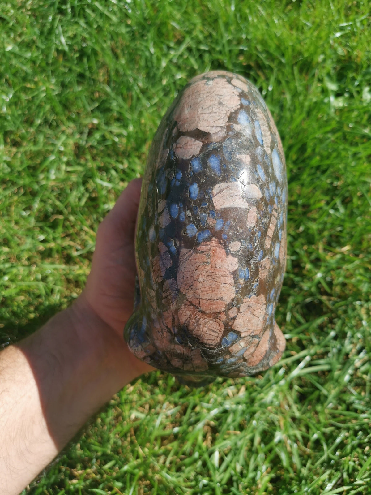 Opalenblauw; Que sera llanite, sculptuur van een langgerekt ALIEN-schedel / MAYA-reizigerschedel / lithotherapie / schedel; Cranio,