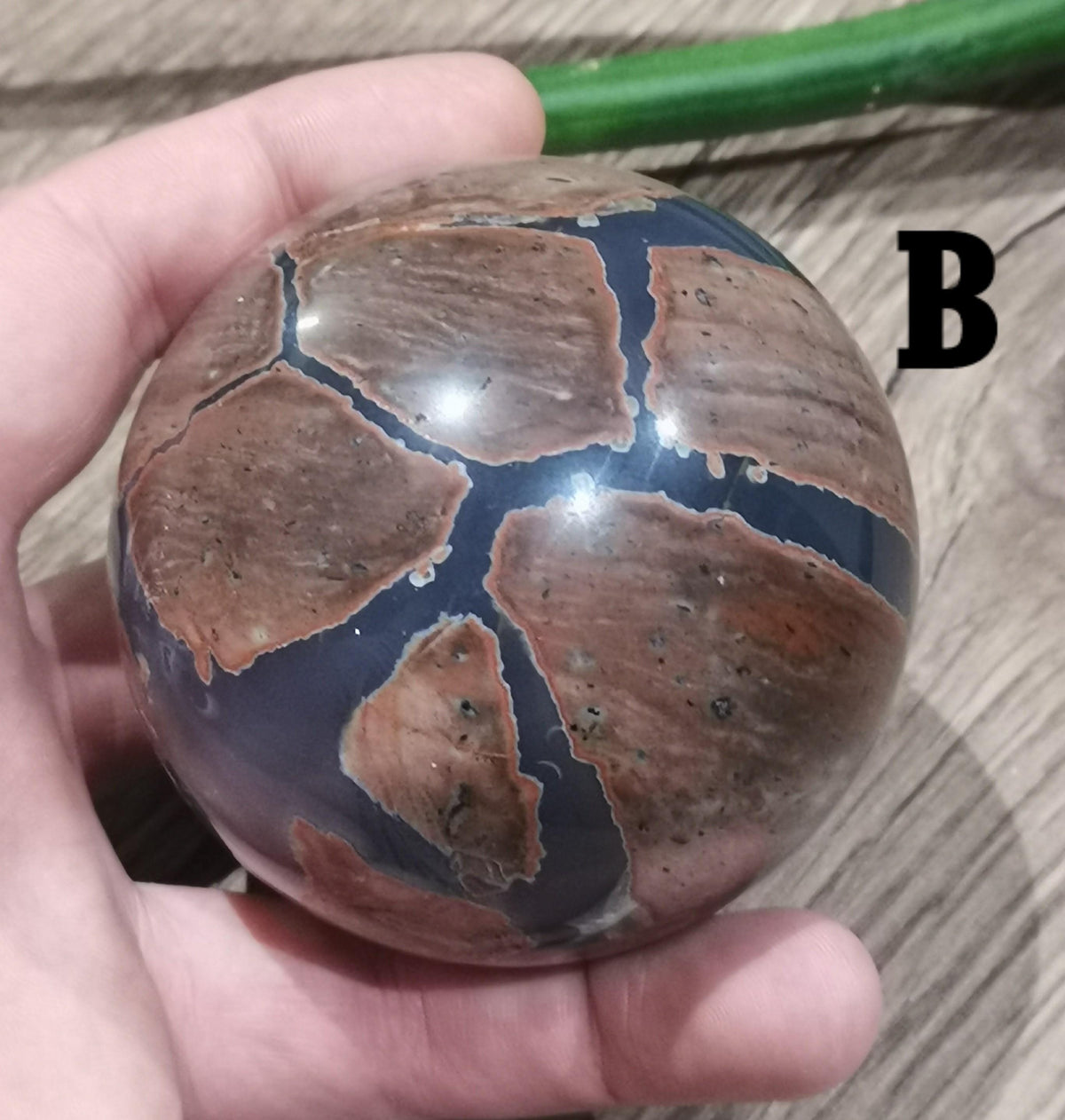 Ágata Huevo de Dinosaurio , Esfera a elegir , ideal Colección de piedra atípica