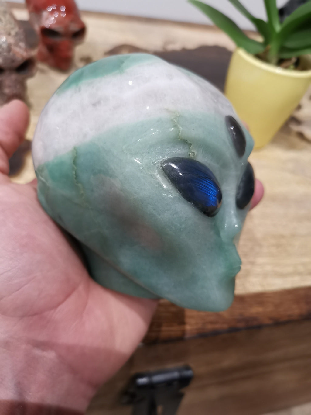 Alien Roswell-schedel van groene aventurijn · XL natuursteen