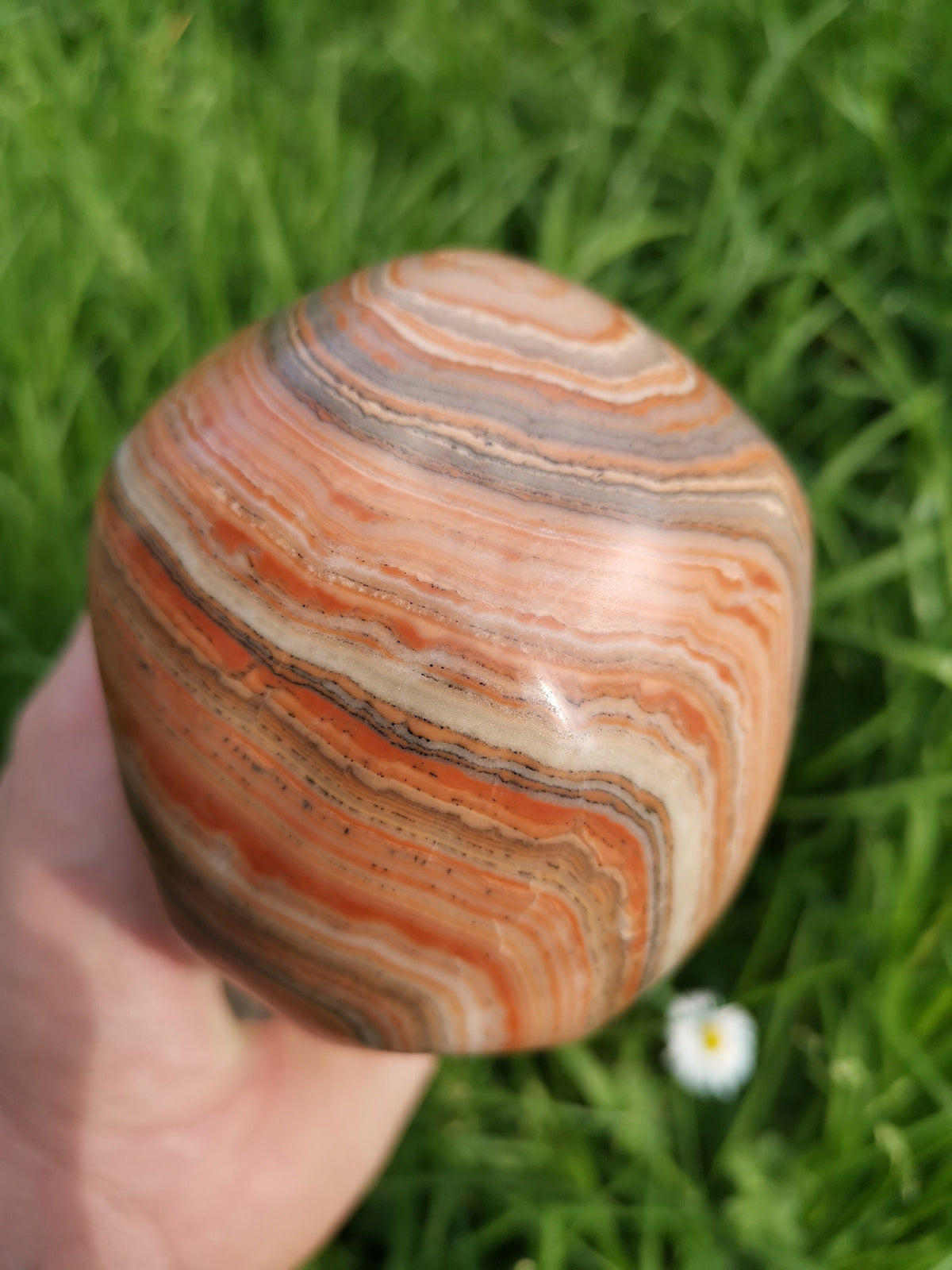 Red Veined Wood-Type Calcite / Skull in Fury / collectible natural stone, Skull collector Crystal Skull