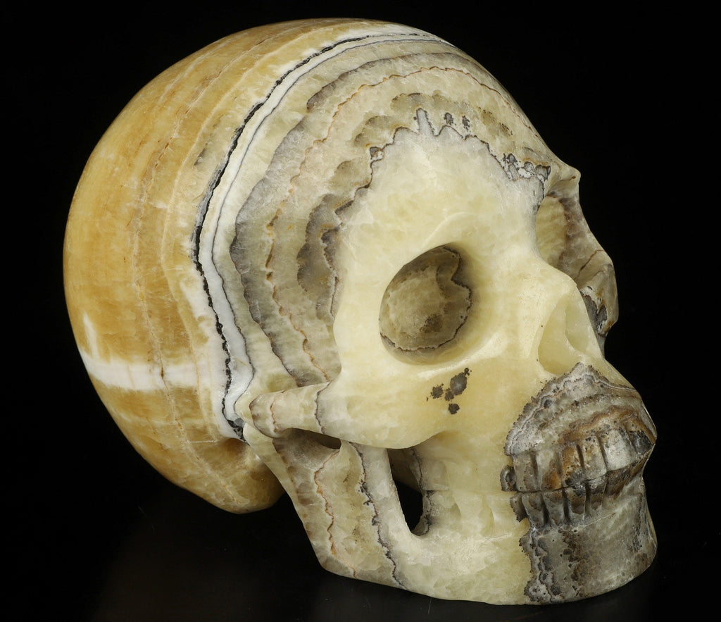 Schädel aus Naturstein ÖSTLICHER JASPER / Eastern Jasper / BÄNDERIGE KALZIT , Top-Qualität , Cranio , Schädel , SKULL