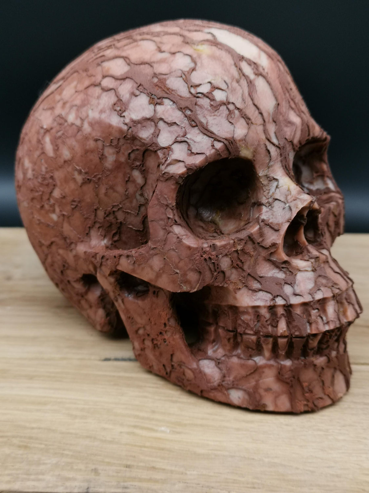 Jaspe 3D Art  / Crâne de pierre naturelle , Memento mori / Cabinet de curiosité / lithothérapie / méditation