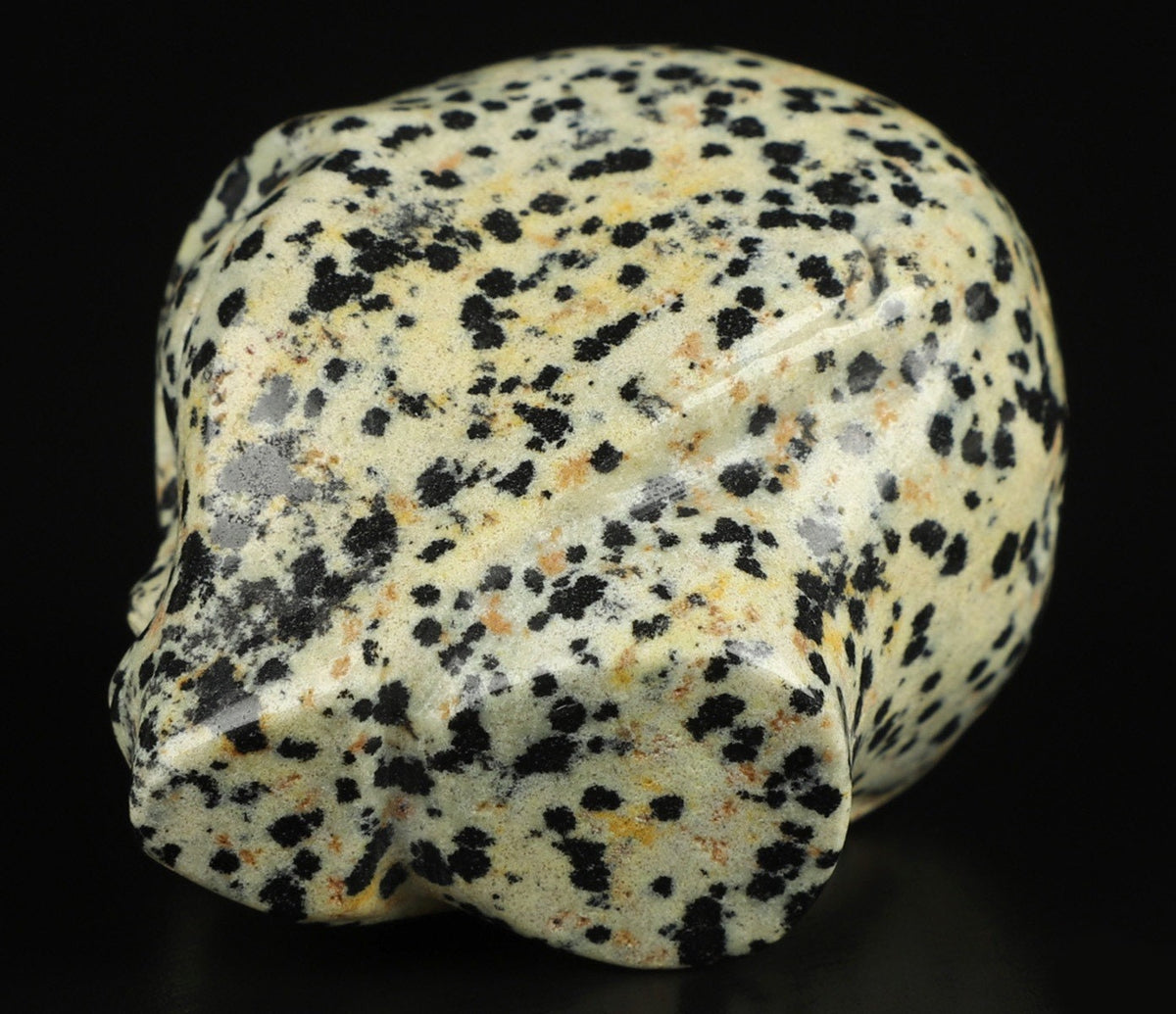 2" Jaspe Dalmatien ->  extra terrestre   Roswell /Crâne pierre naturelle de collection / décoration  Skull , Cranio , SchÄdel , Craneo